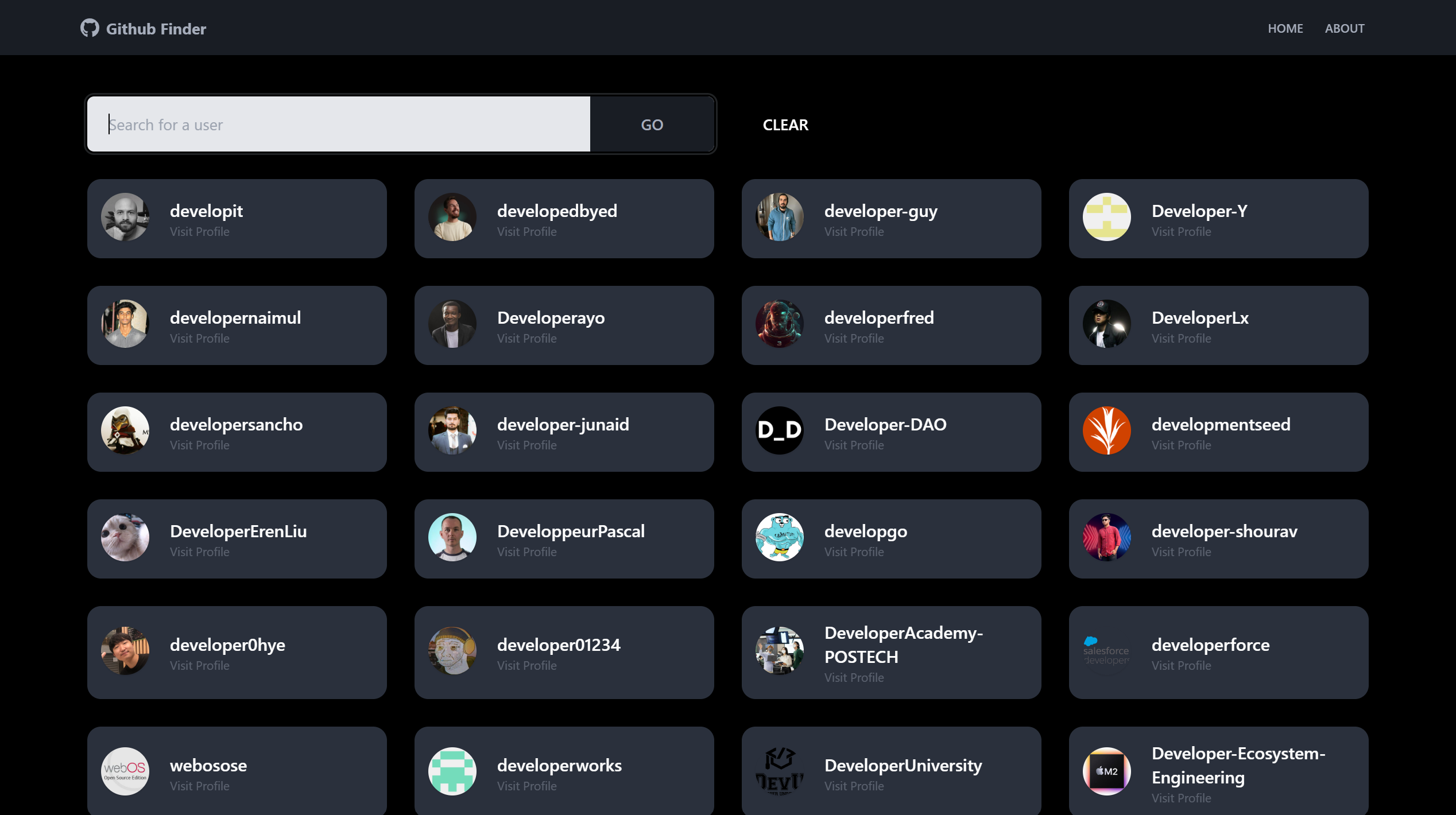 Screenshot of the github finder website